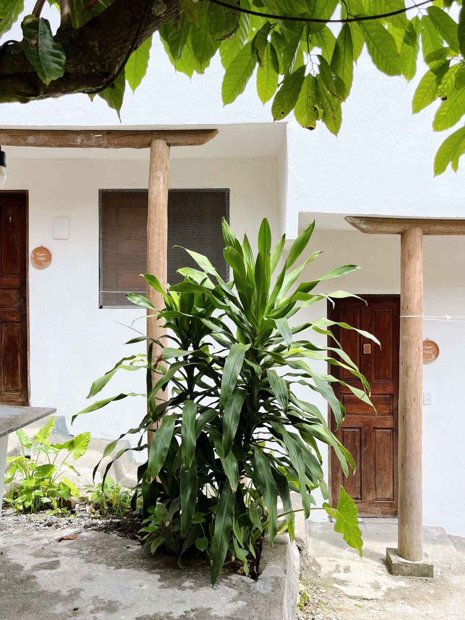 Morada Cacauera Apartment Itacare Exterior photo